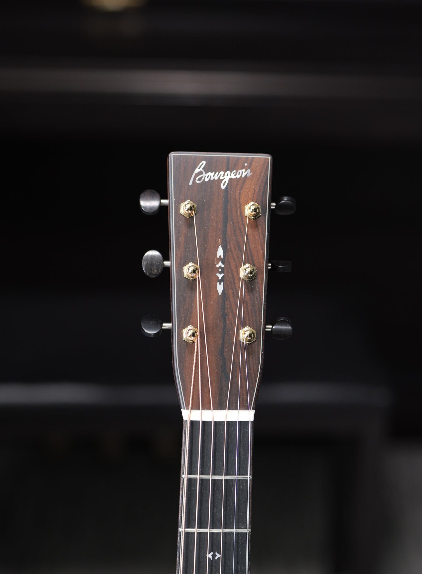 Bourgeois Touchstone Signature/TS Madagascar Rosewood OM