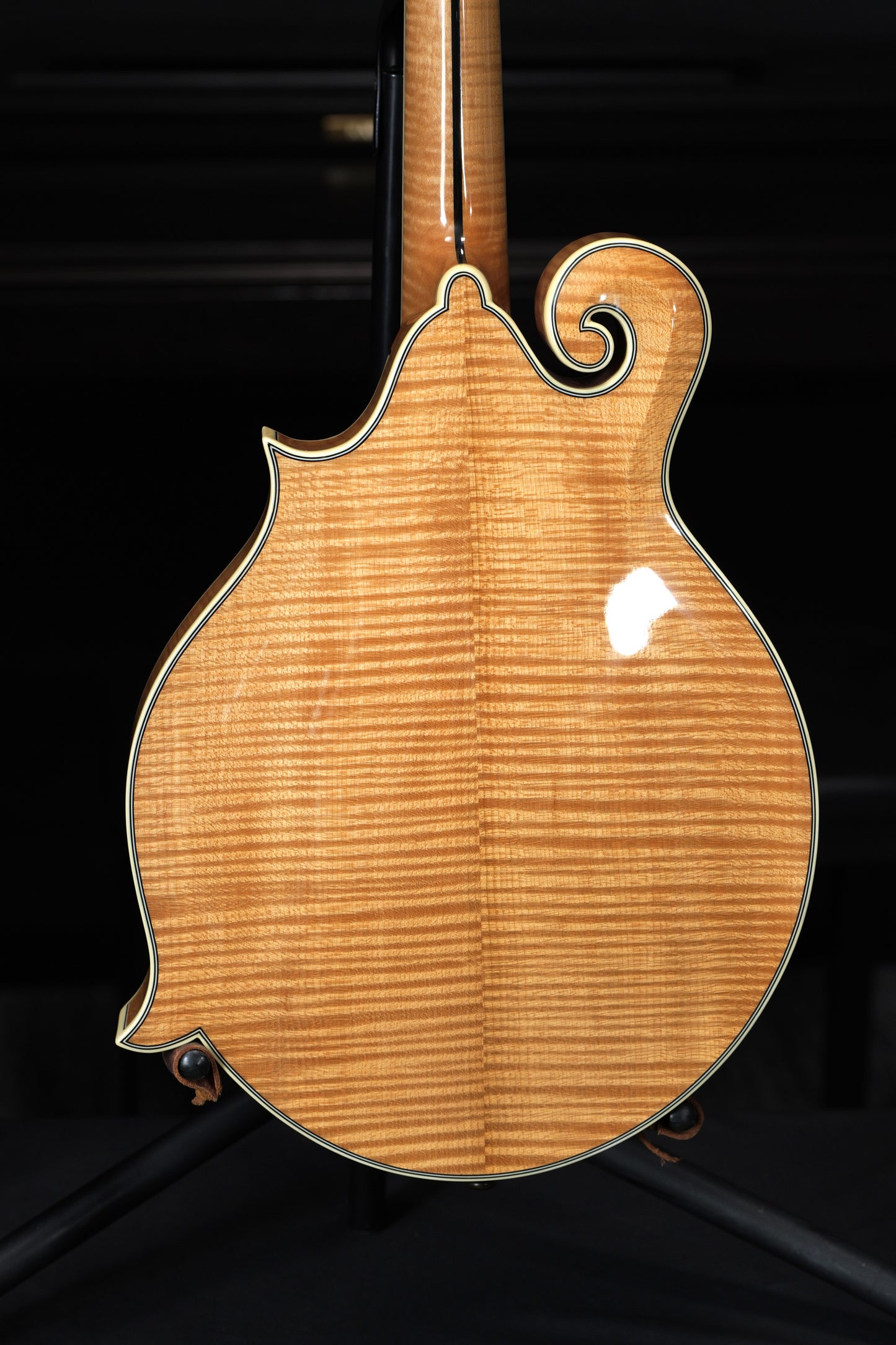 Bourgeois M5-F Mandolin Torrefied Maple & Spruce