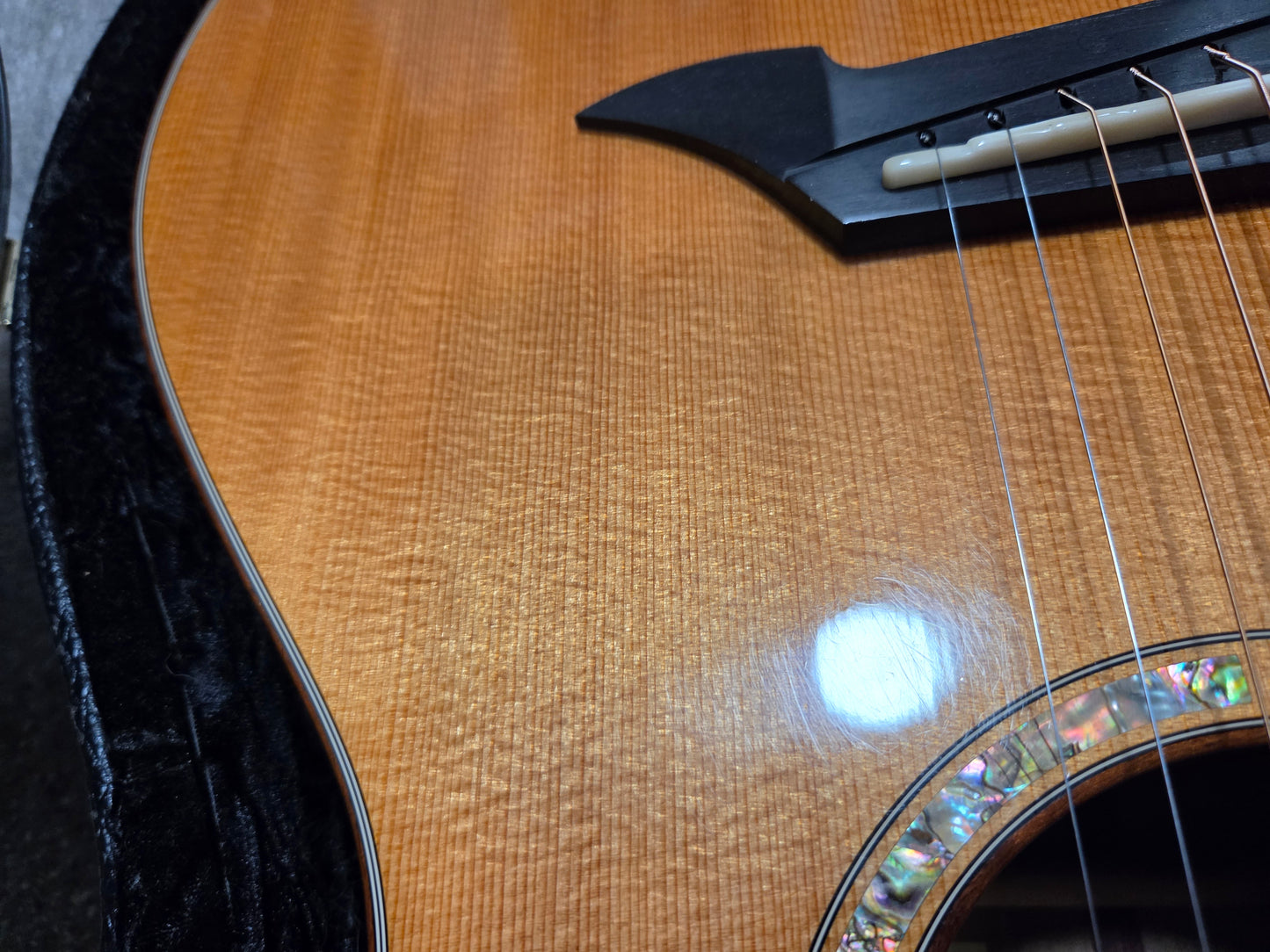 Breedlove Master Class Northwest 2008