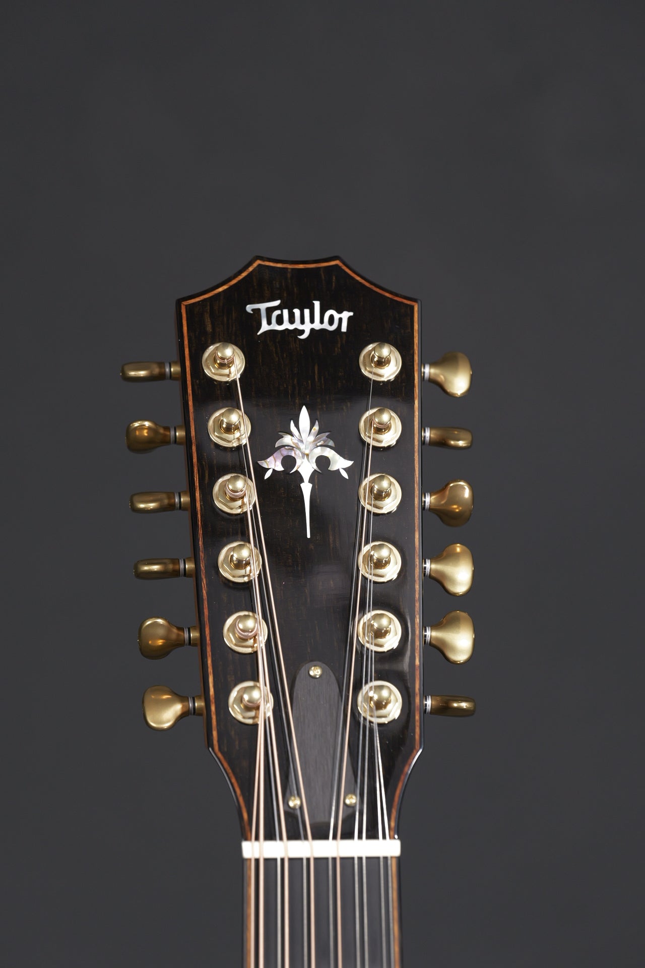 Taylor 956ce 12-string