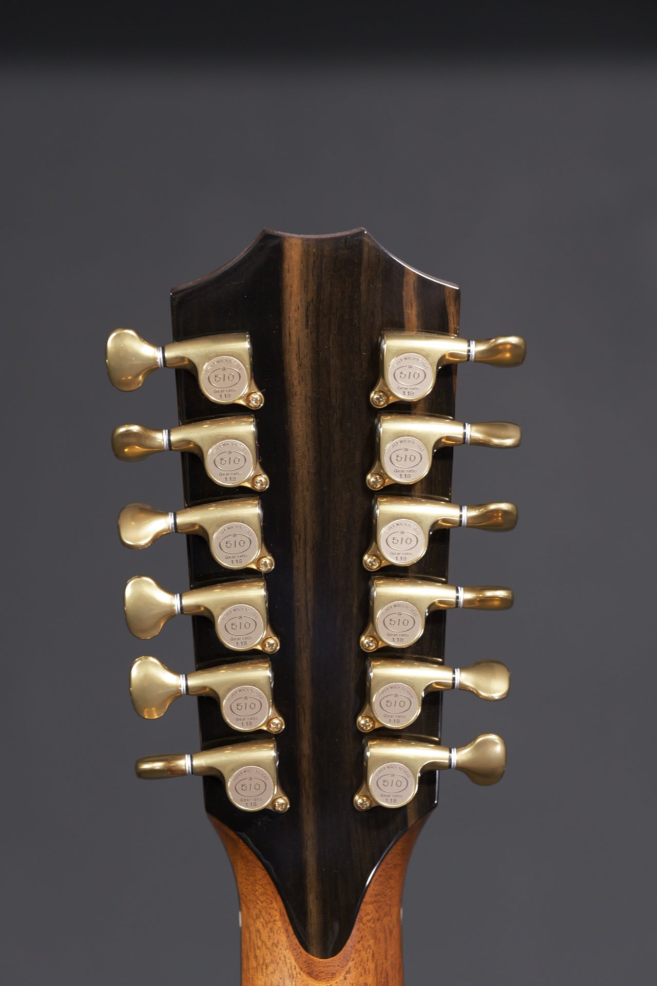 Taylor 956ce 12-string