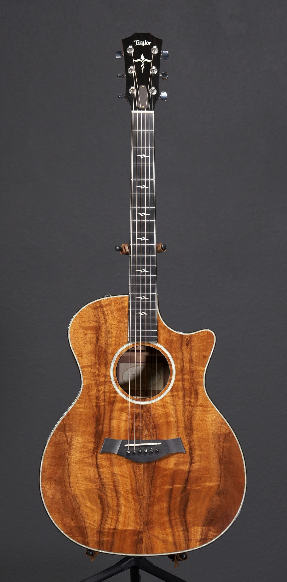 Taylor GA Custom Koa