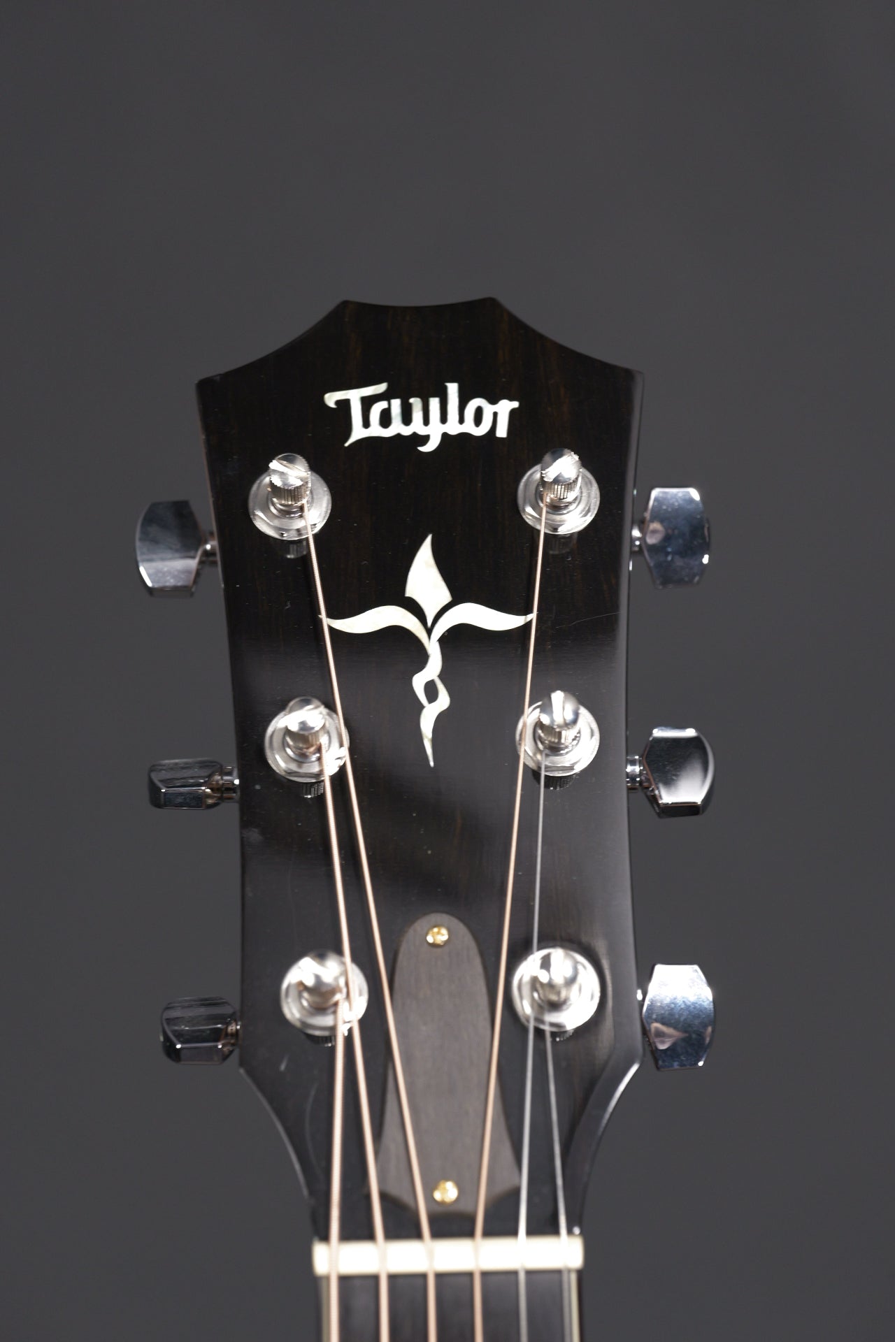 Taylor GA Custom Koa