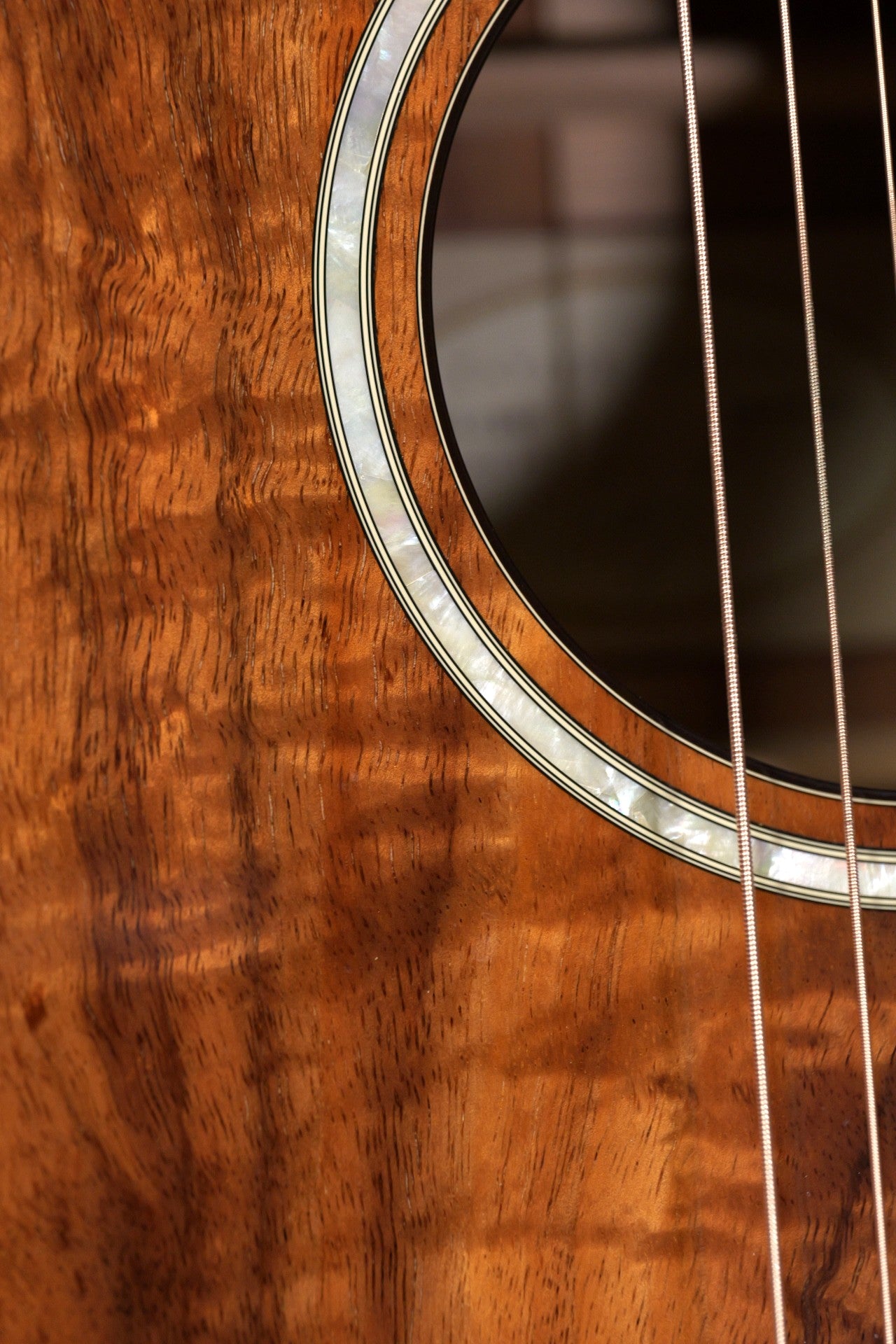 Taylor GA Custom Koa