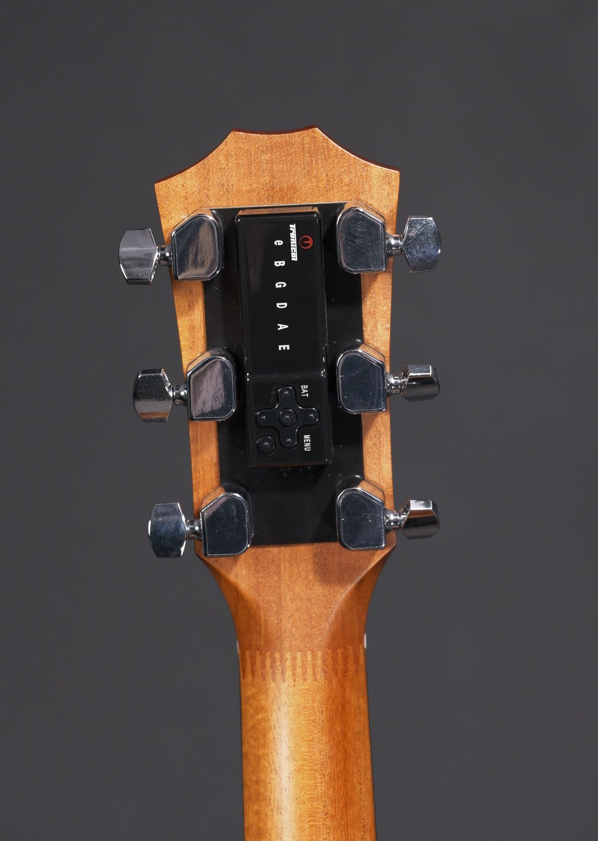 Taylor GA Custom Koa