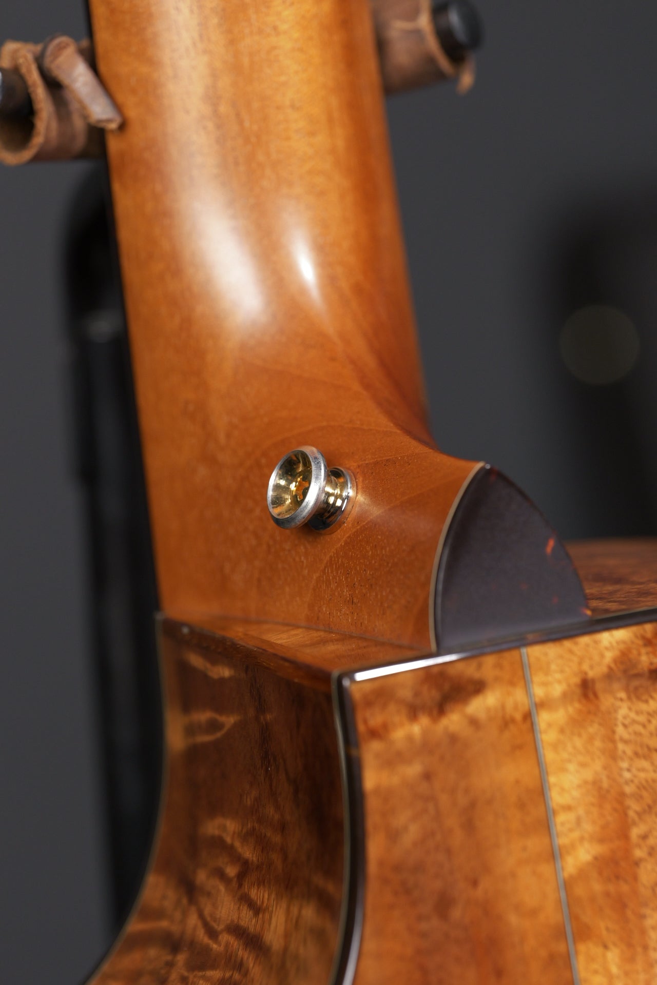 Taylor GA Custom Koa