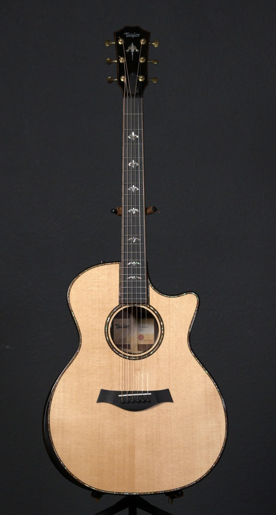 Taylor 914ce Arm Bevel 2022