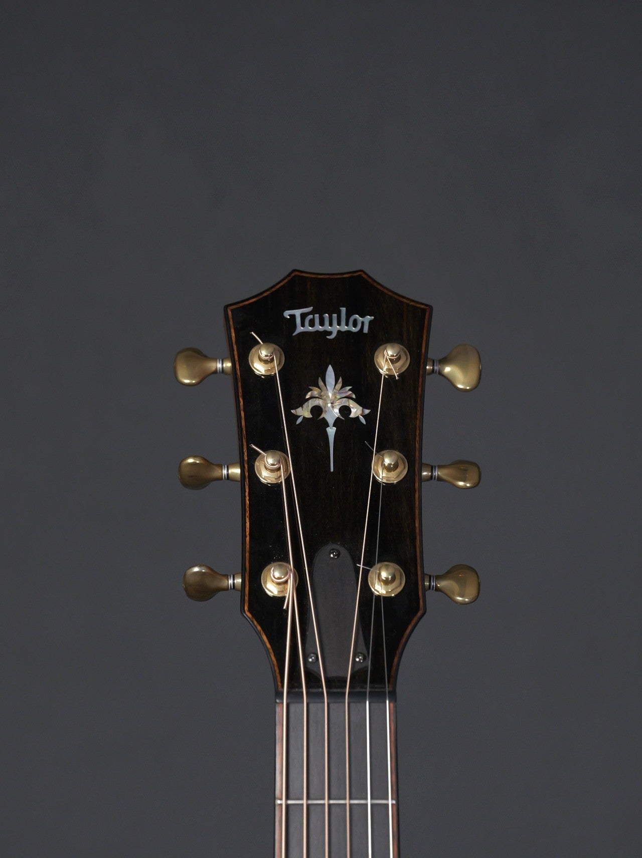 Taylor 914ce Arm Bevel 2022
