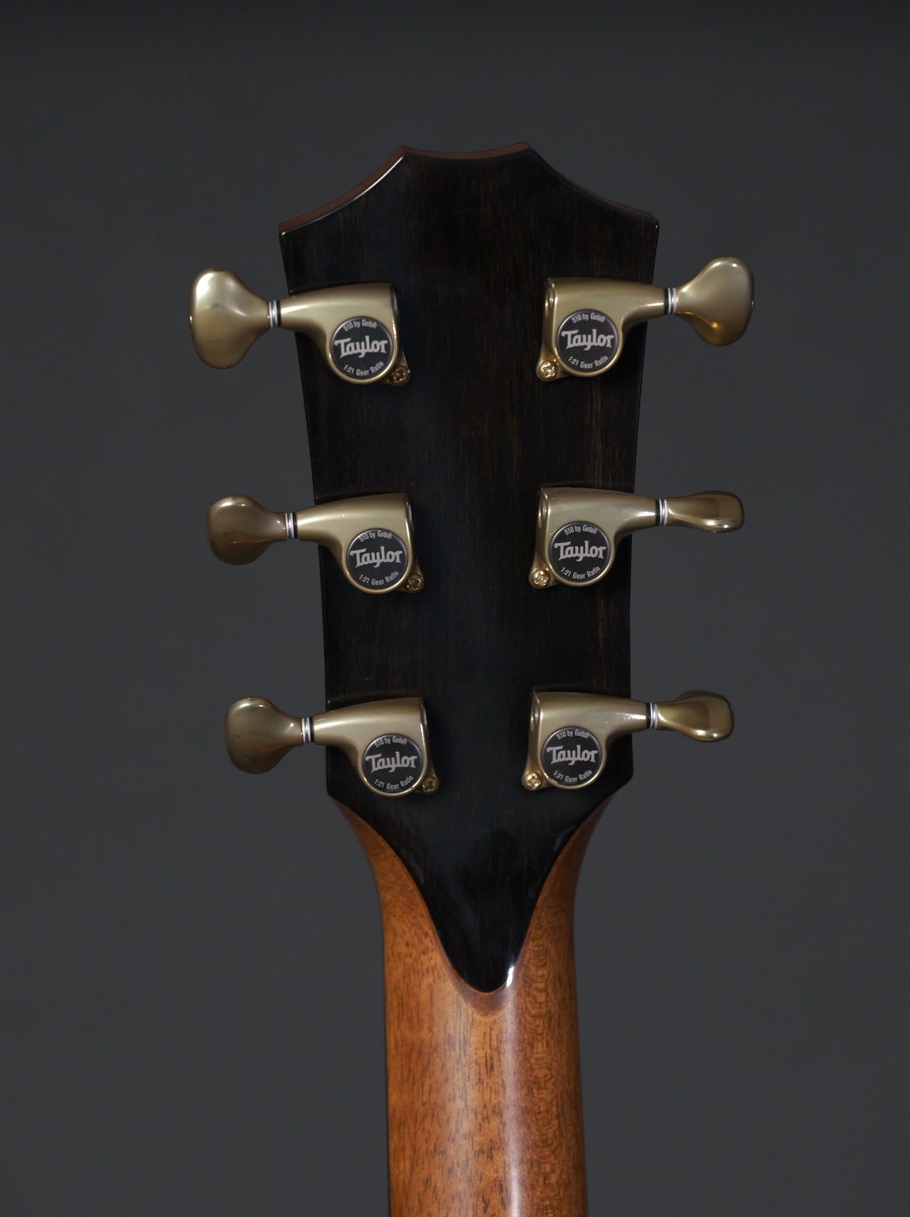 Taylor 914ce Arm Bevel 2022