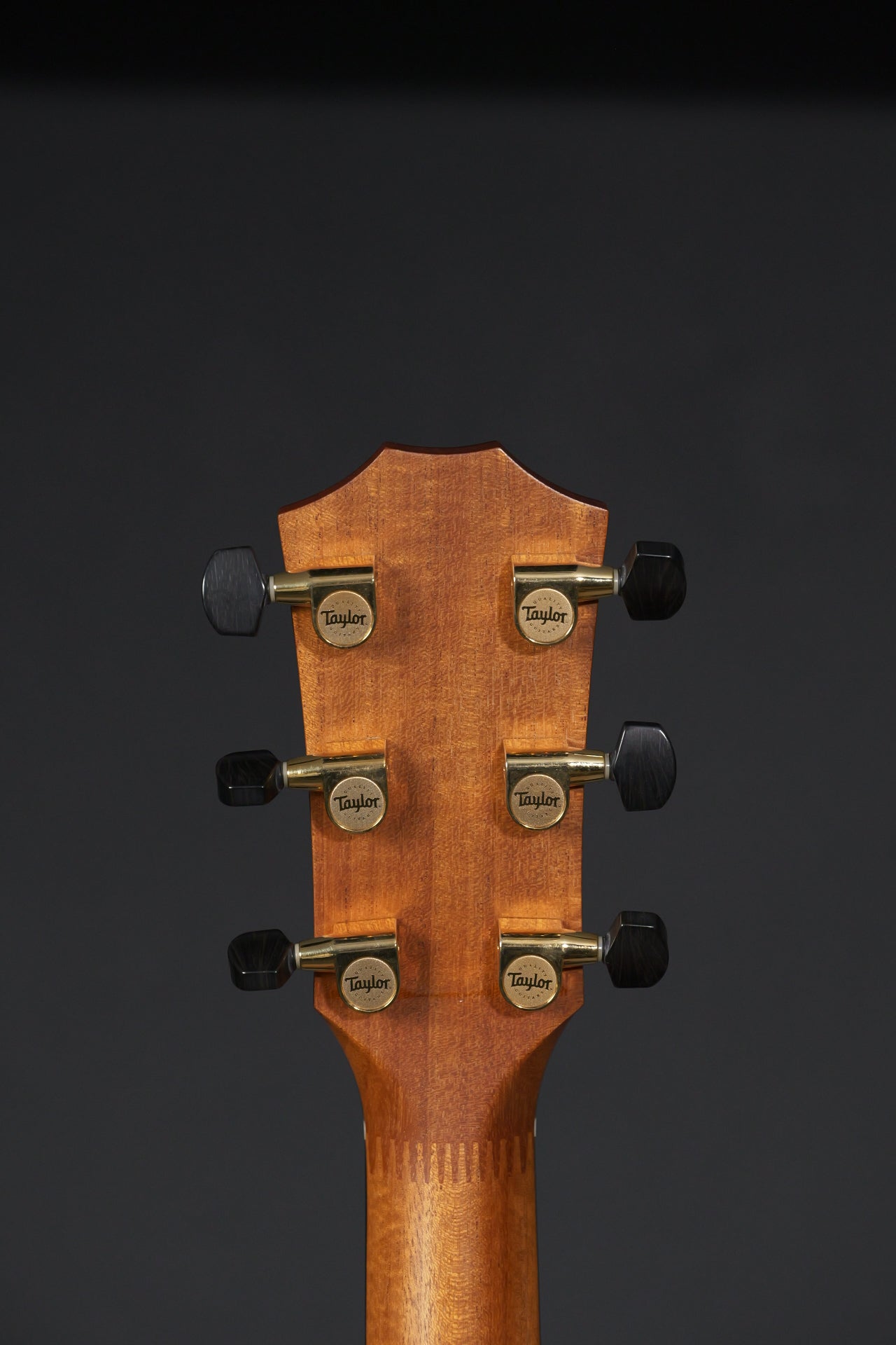 Taylor GA Custom Koa