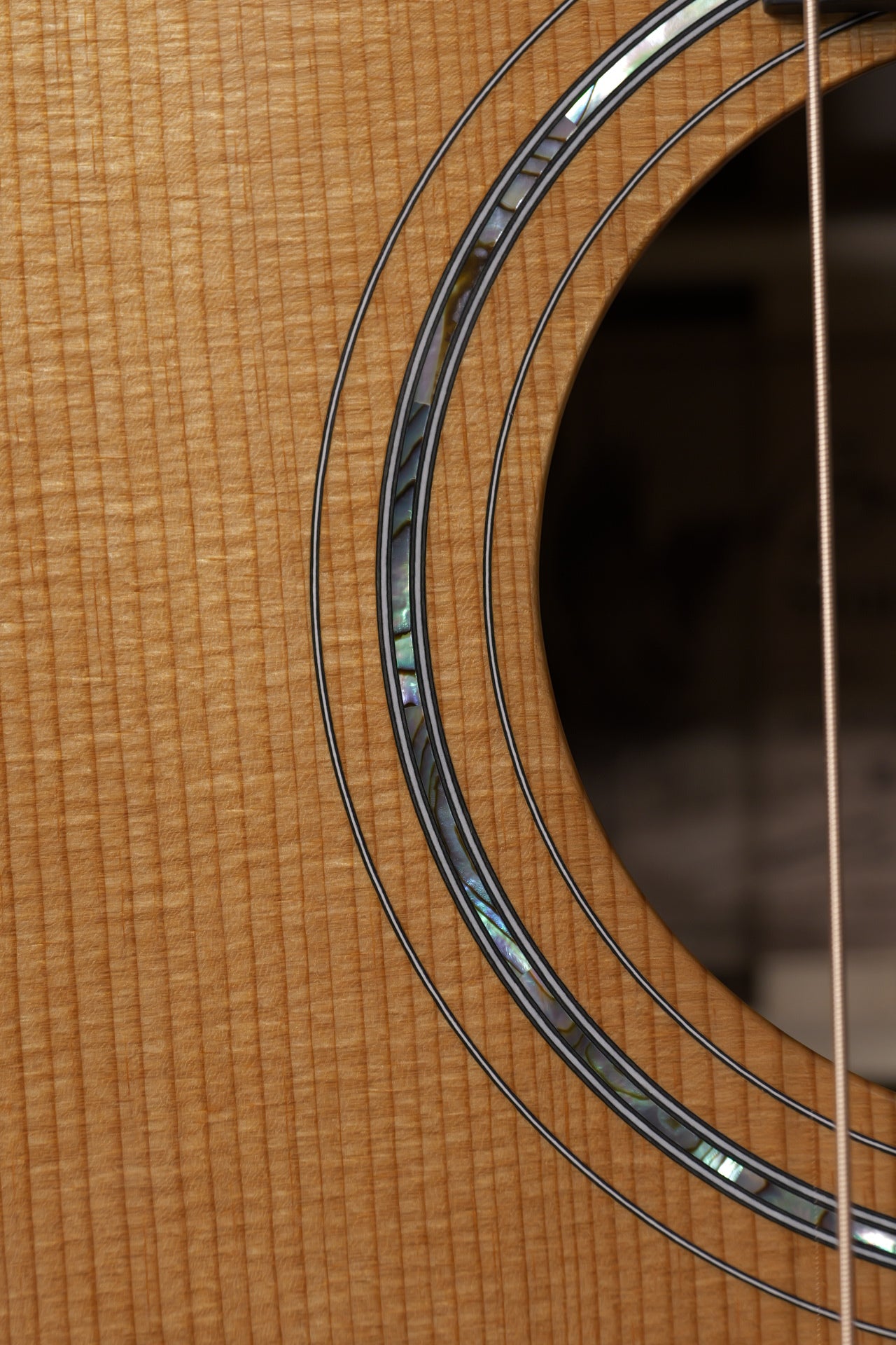 Boucher SG-251-MV Brazilian Rosewood