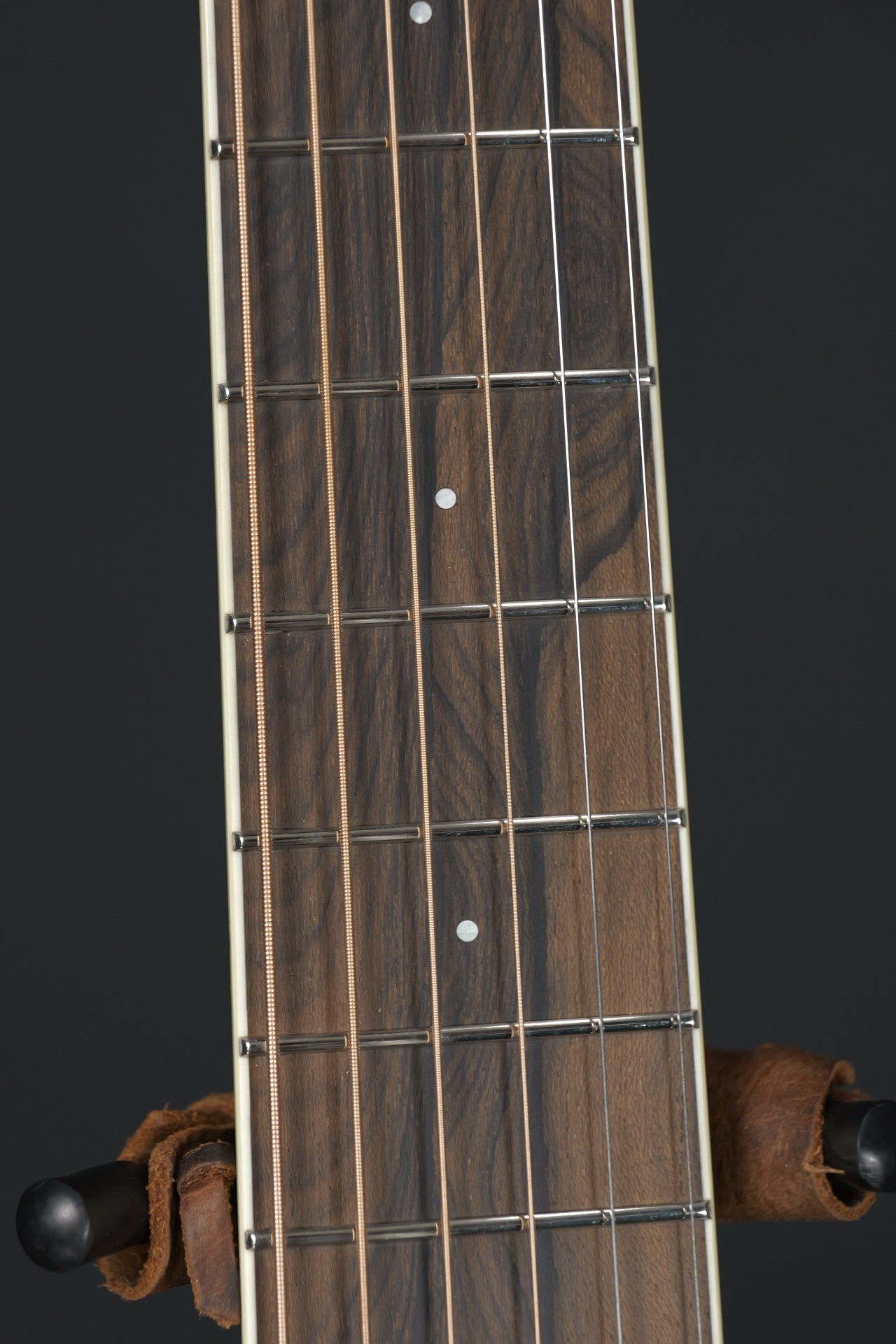 Bourgeois Banjo Killer Short Scale