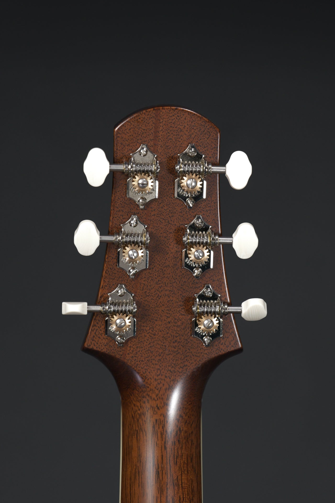 Bourgeois Banjo Killer Short Scale