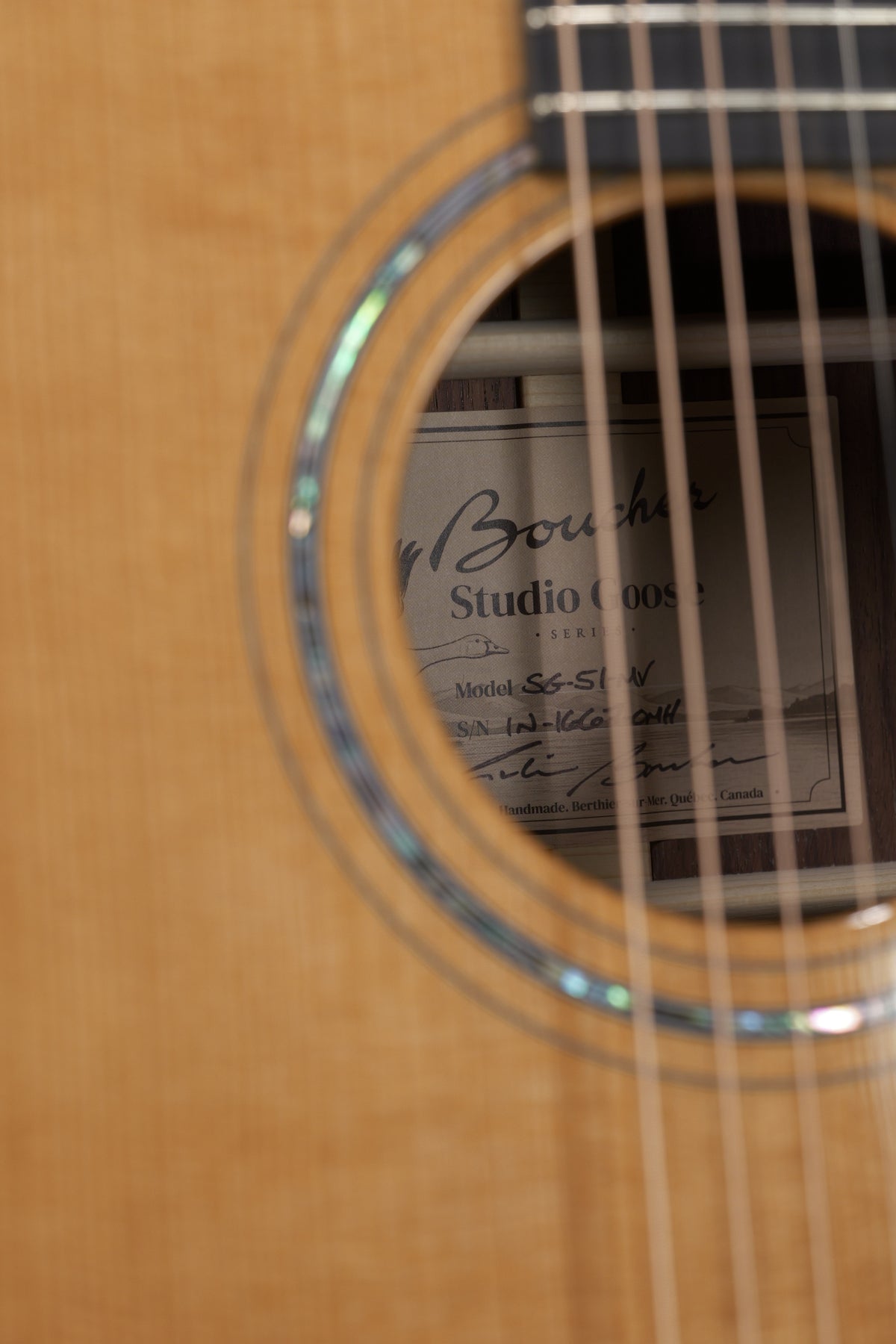 Boucher SG-51-MV used 2026