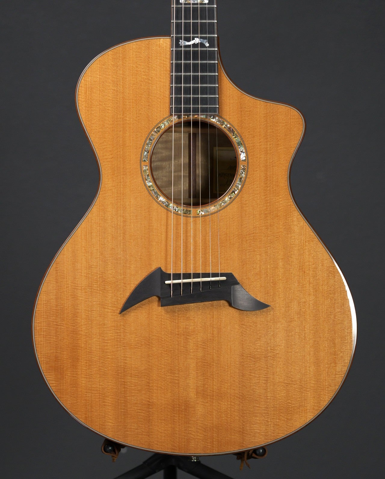 Breedlove Master Class Northwest 2008