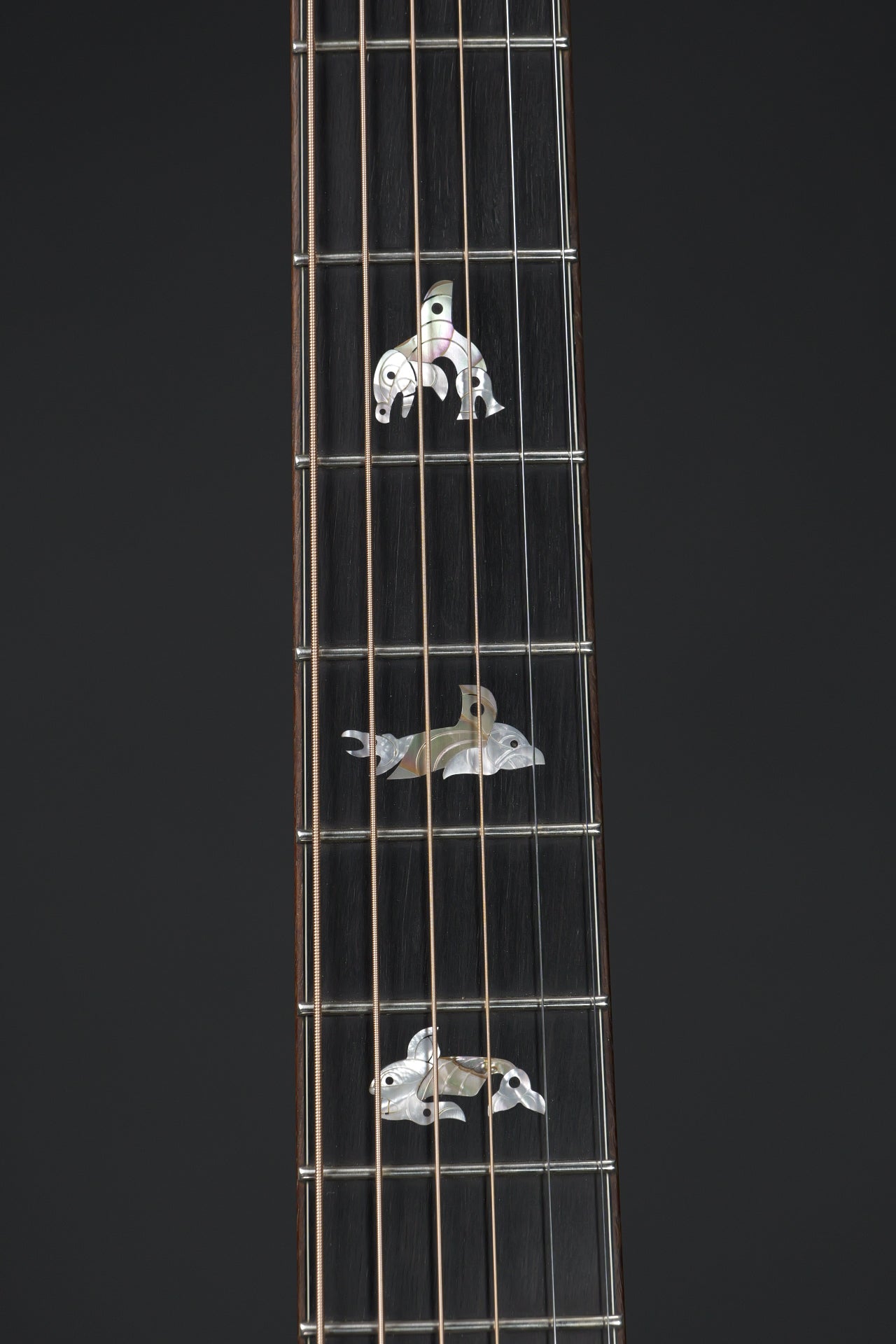 Breedlove Master Class Northwest 2008
