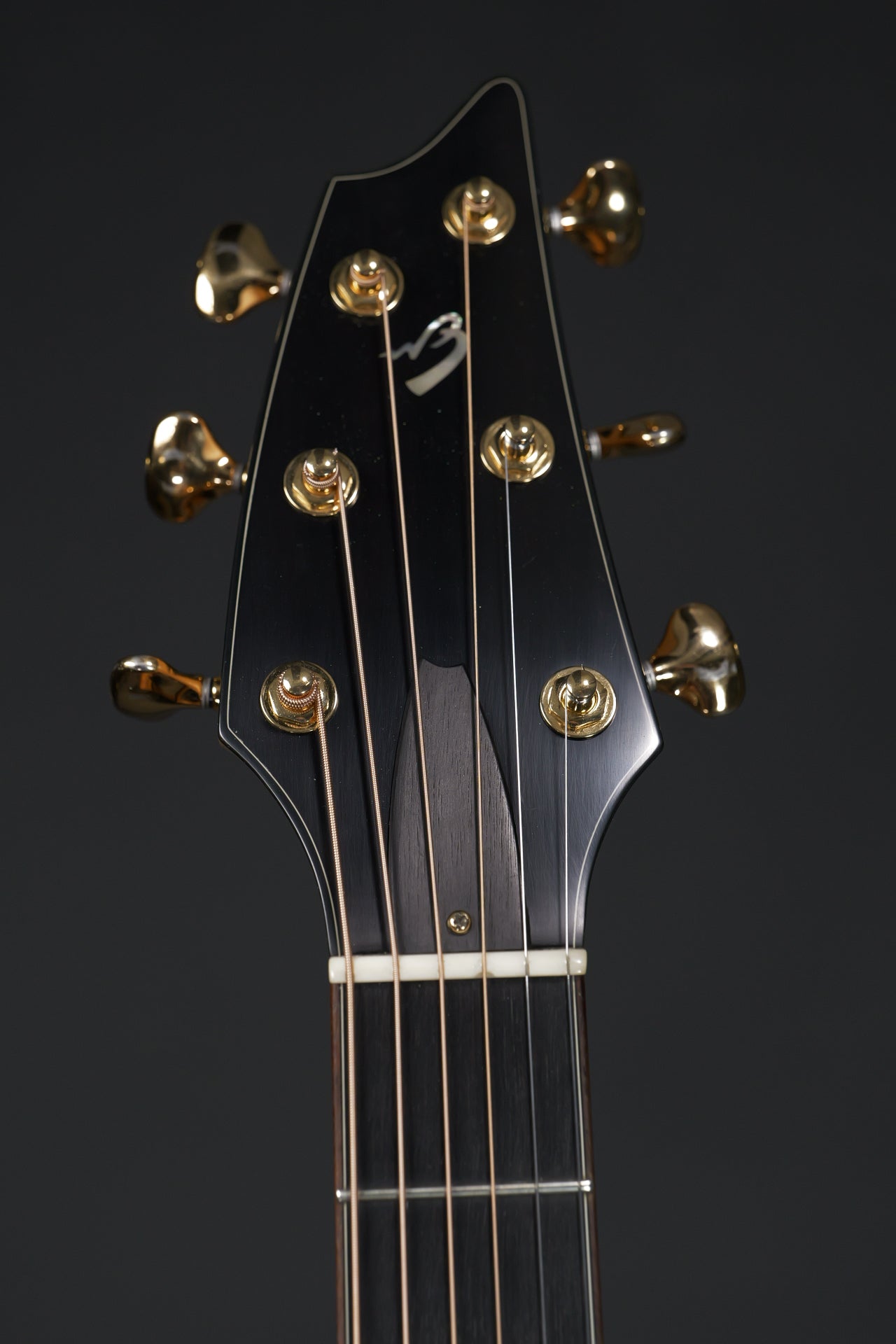 Breedlove Master Class Northwest 2008