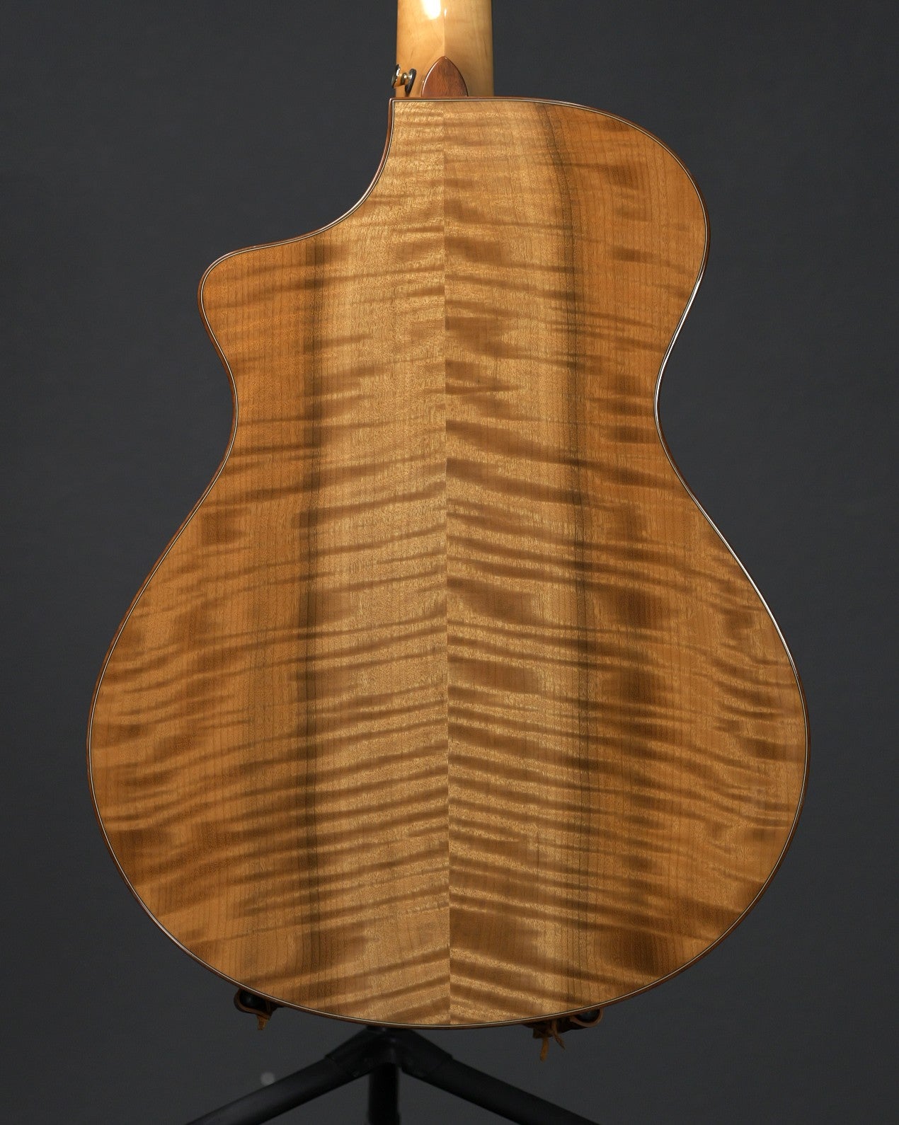 Breedlove Master Class Northwest 2008