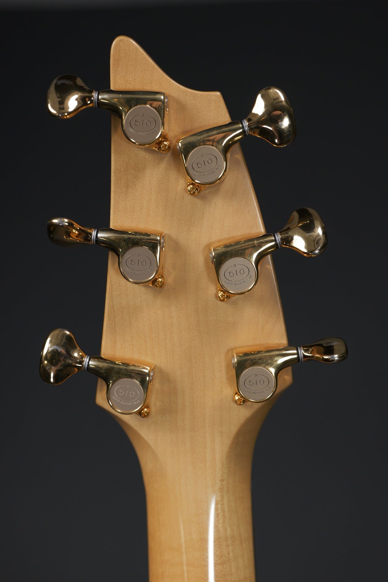 Breedlove Master Class Northwest 2008