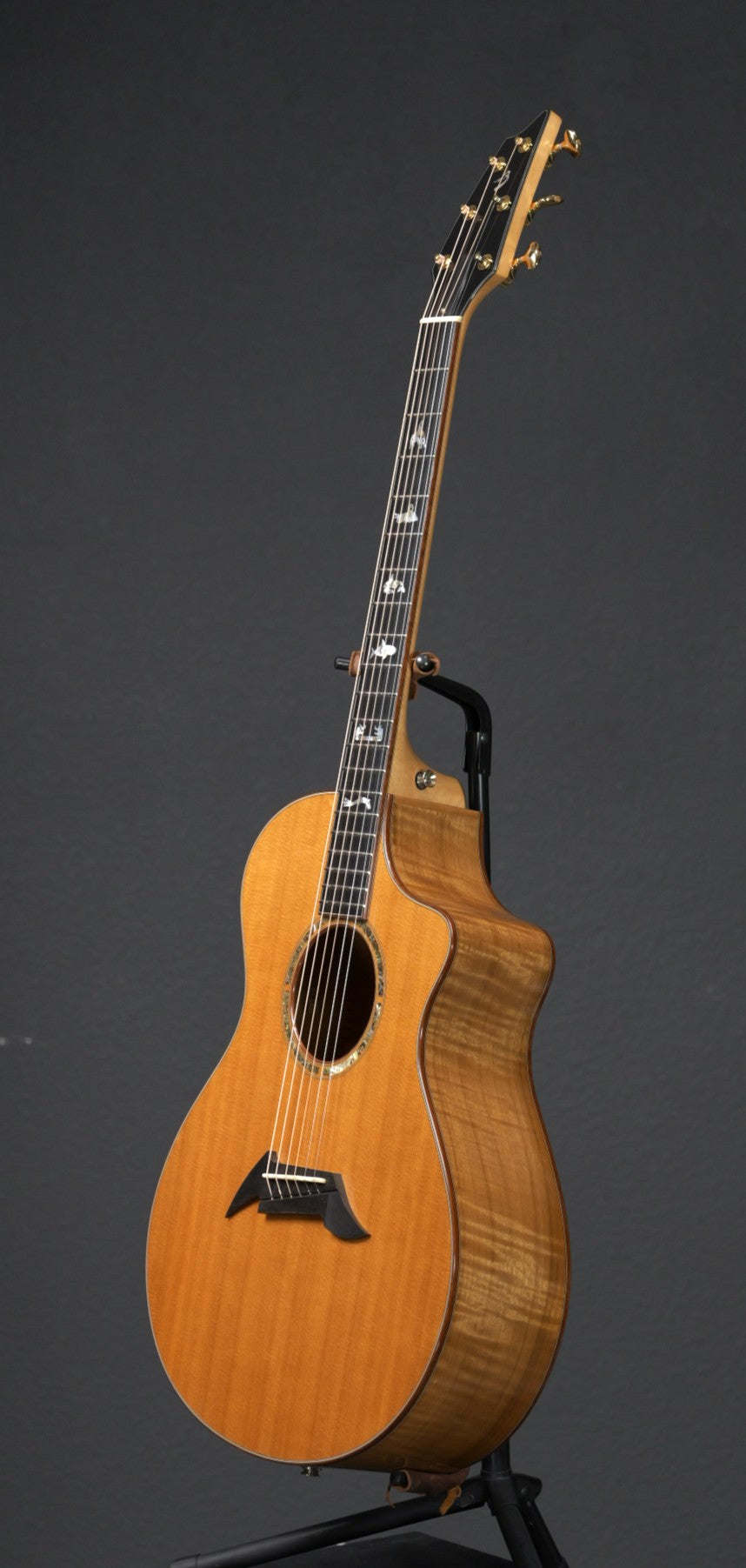 Breedlove Master Class Northwest 2008
