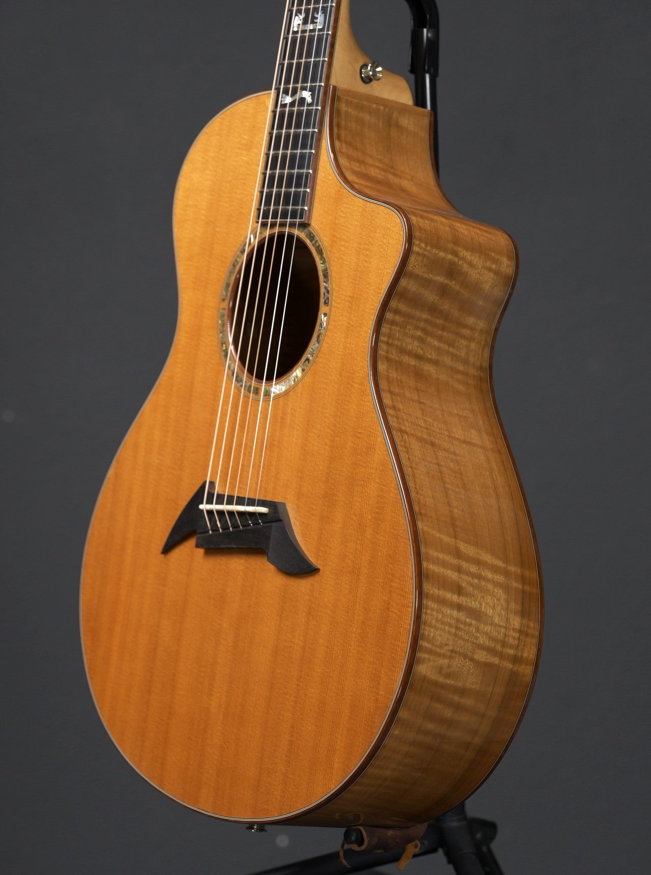 Breedlove Master Class Northwest 2008