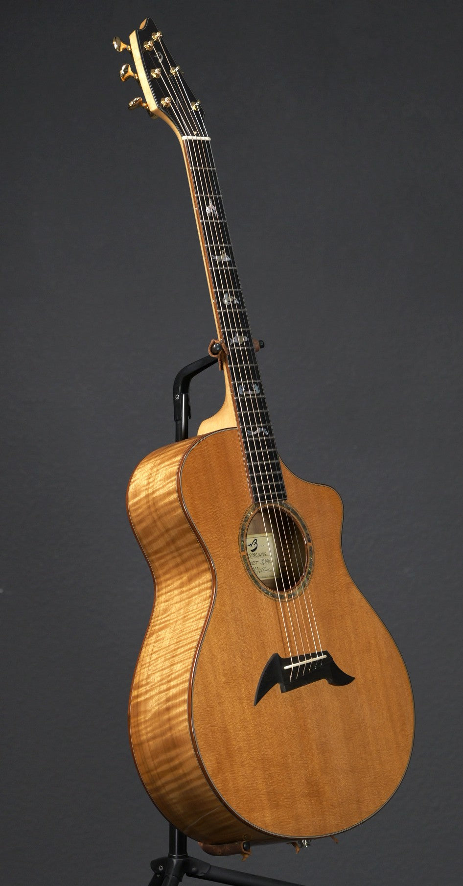 Breedlove Master Class Northwest 2008