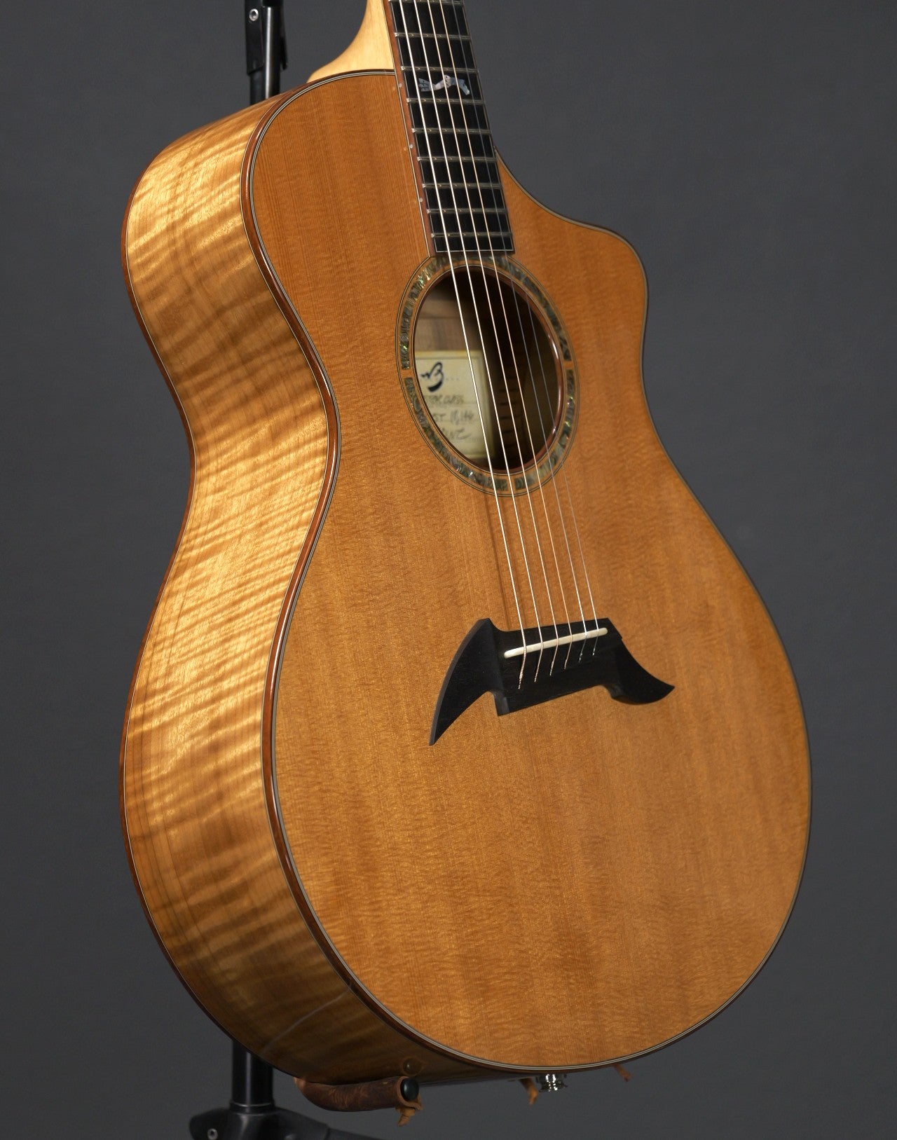 Breedlove Master Class Northwest 2008