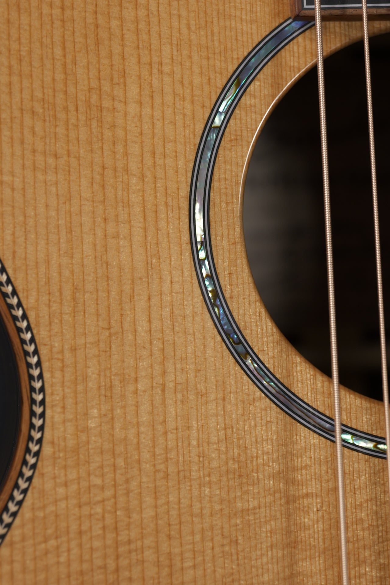 Boucher HG-194-U Ebony & Torrefied Adirondack Spruce