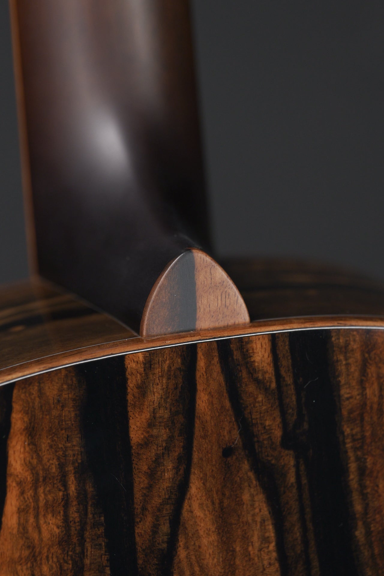 Boucher HG-194-U Ebony & Torrefied Adirondack Spruce