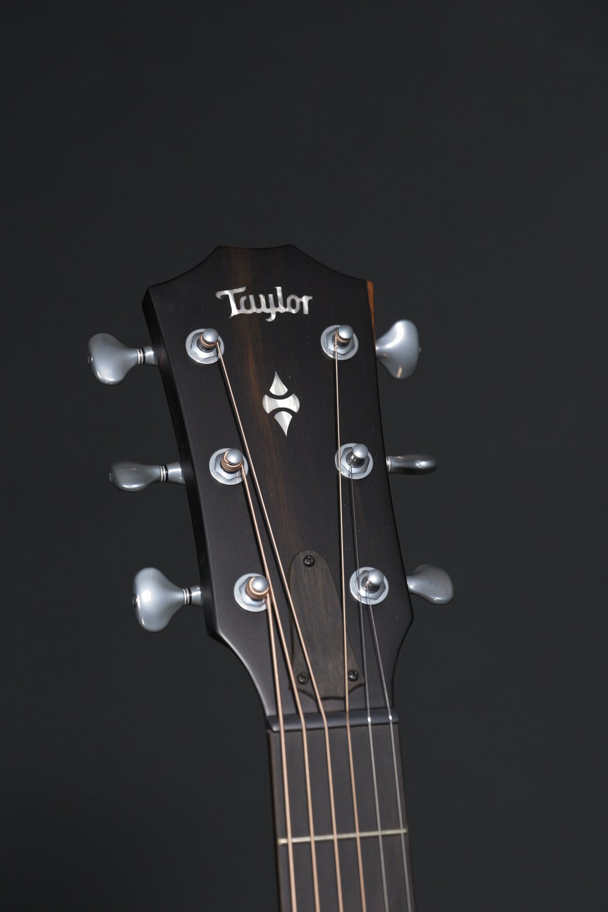 Taylor 514ce Builder's Edition 2025