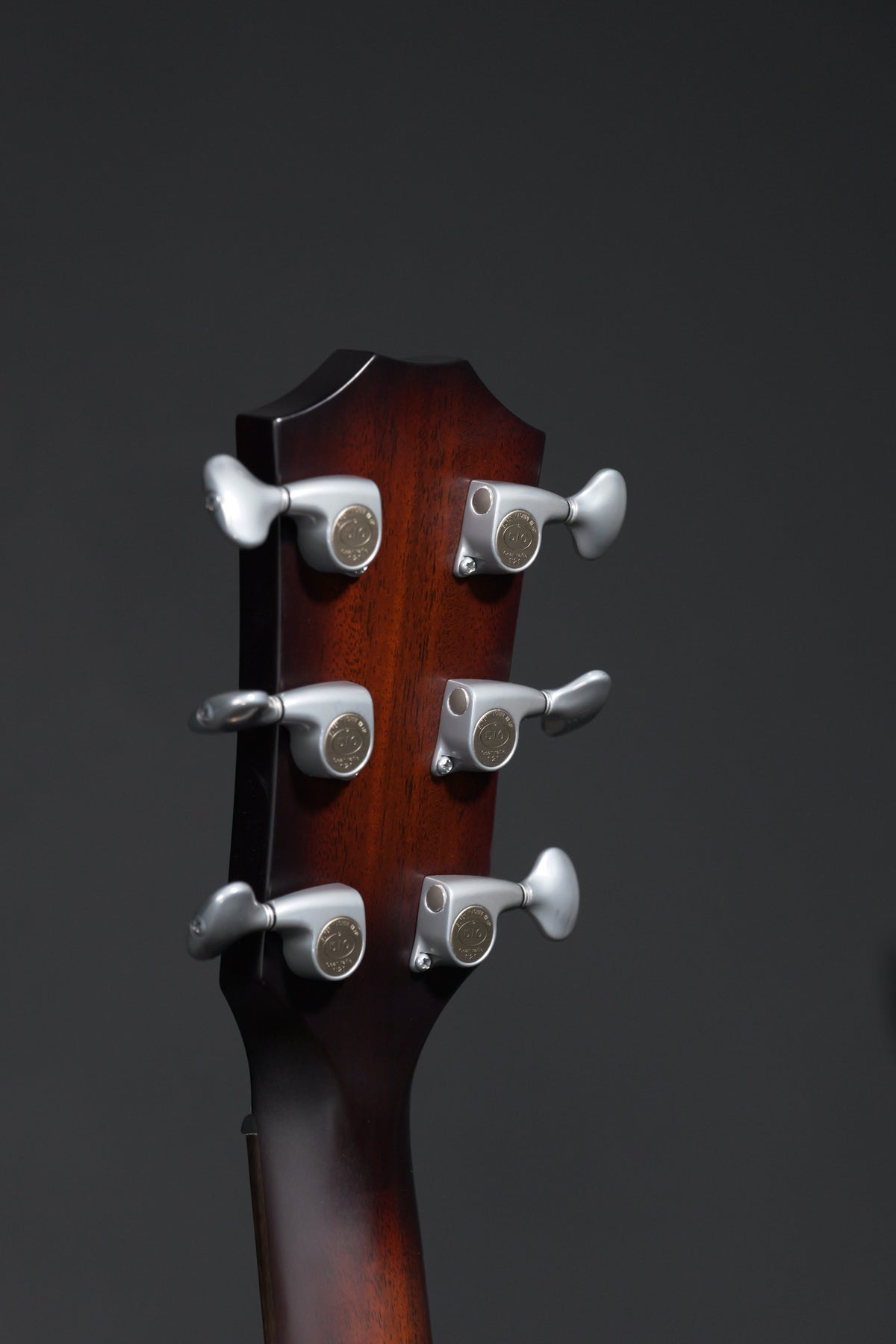 Taylor 514ce Builder's Edition 2025