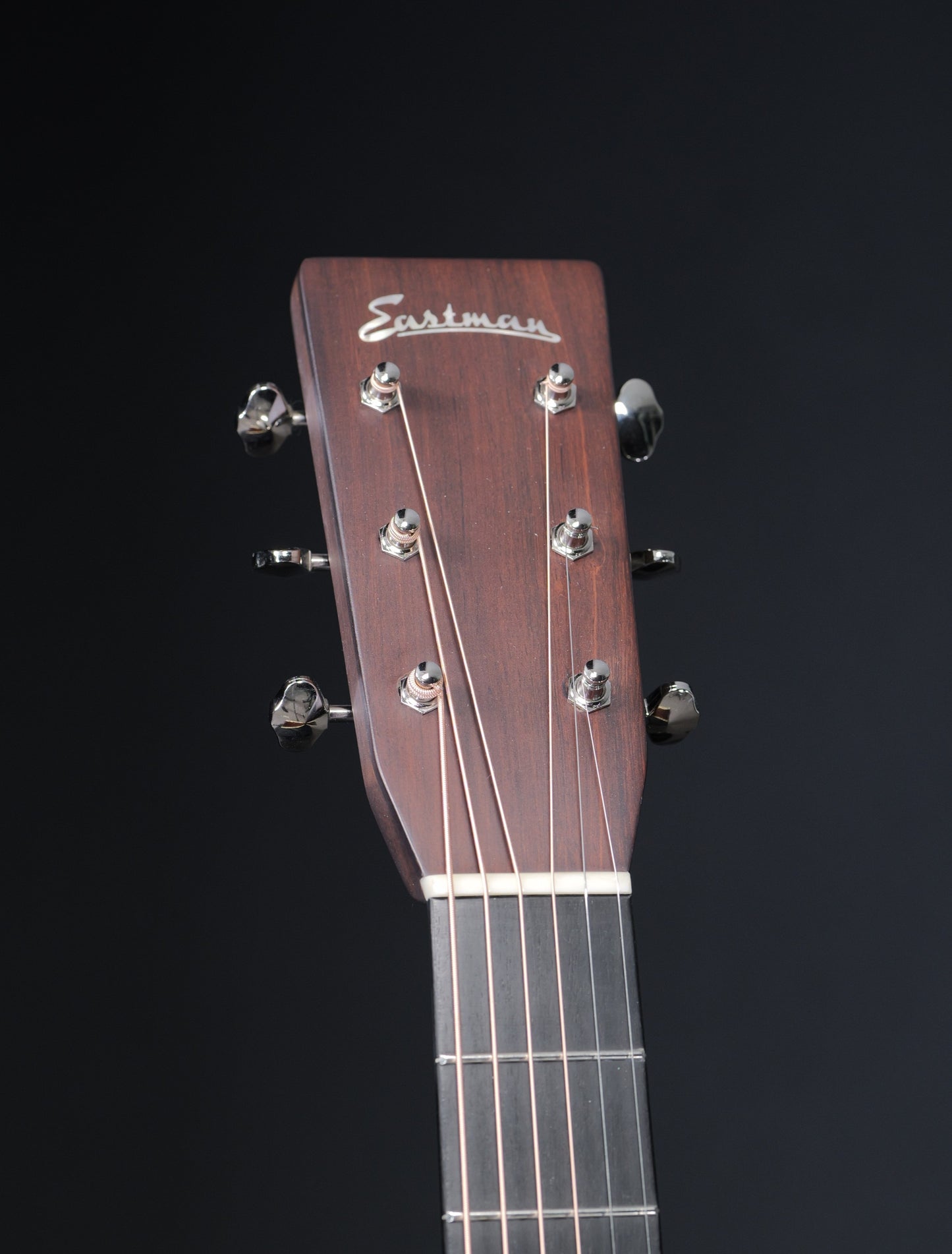 Eastman E20OM-MT-TC Madagascar Rosewood & Torrefied Adirondack